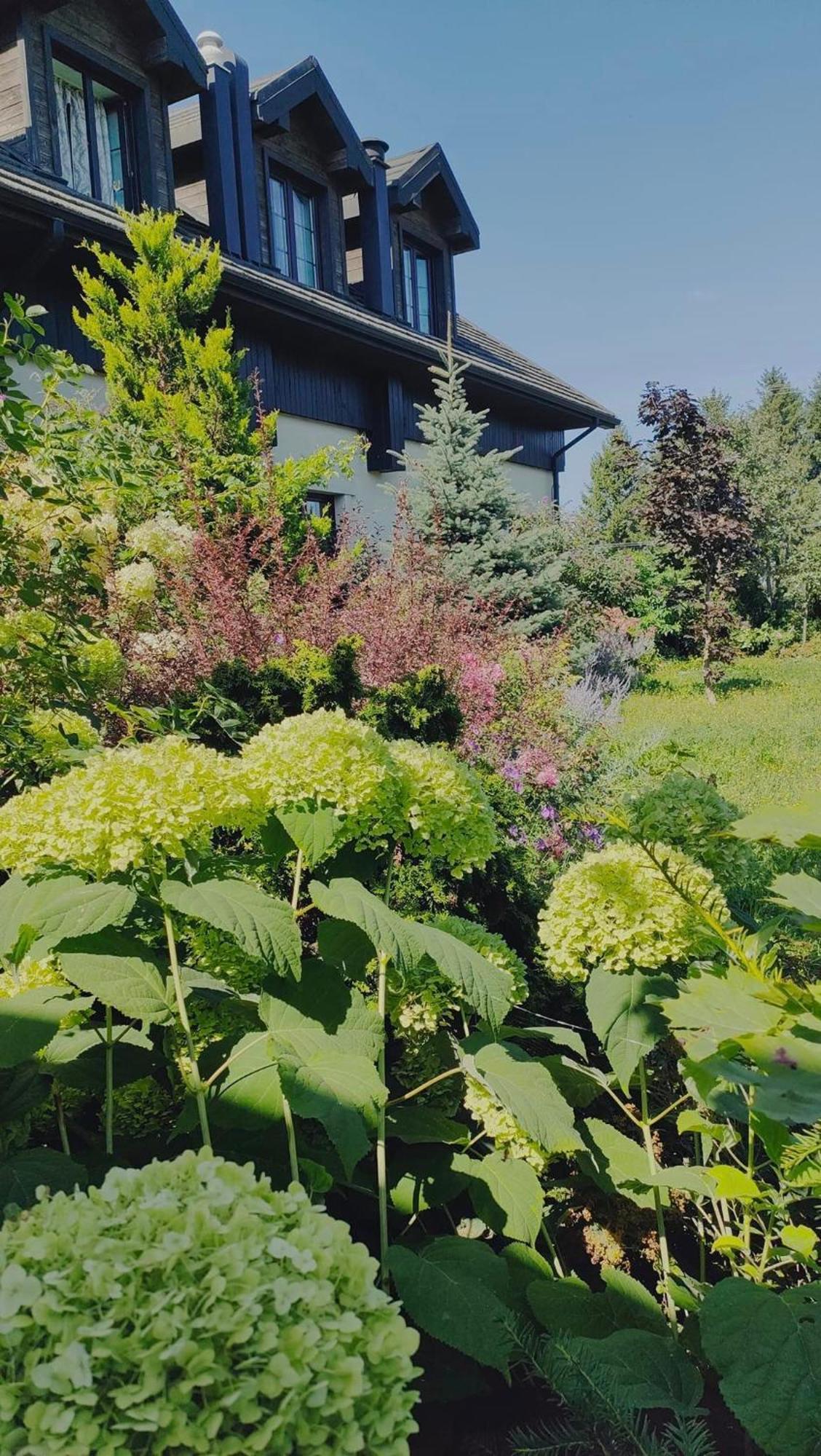 Osrodek Bialy Lew Bed and Breakfast Wojciechow  Buitenkant foto