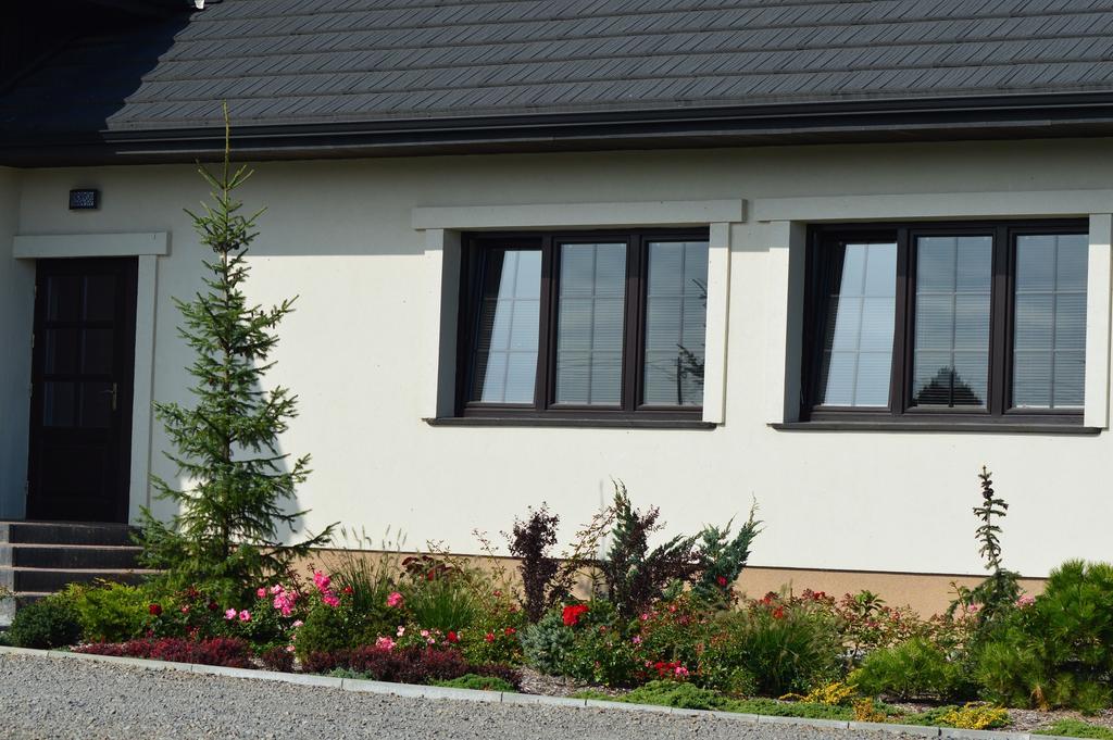 Osrodek Bialy Lew Bed and Breakfast Wojciechow  Buitenkant foto