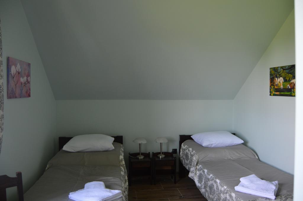 Osrodek Bialy Lew Bed and Breakfast Wojciechow  Buitenkant foto