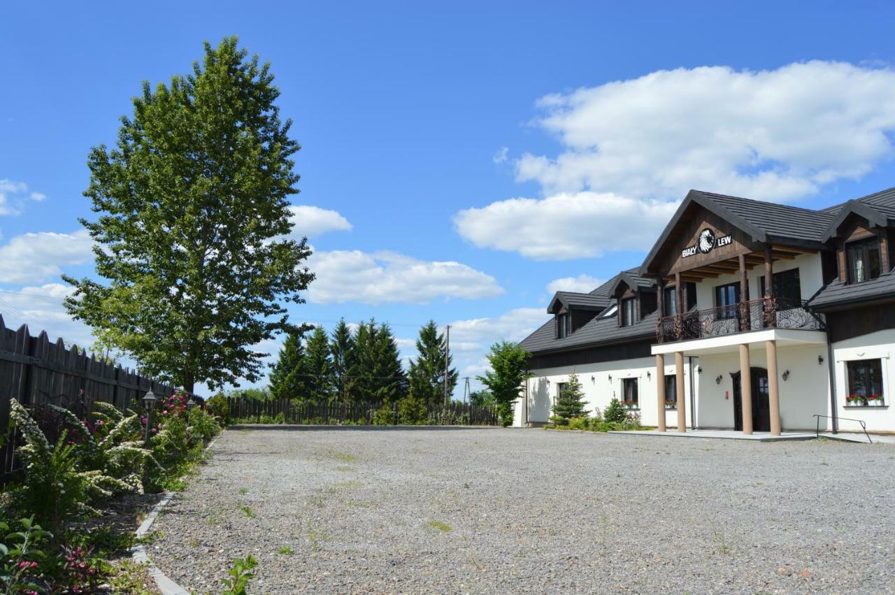 Osrodek Bialy Lew Bed and Breakfast Wojciechow  Buitenkant foto