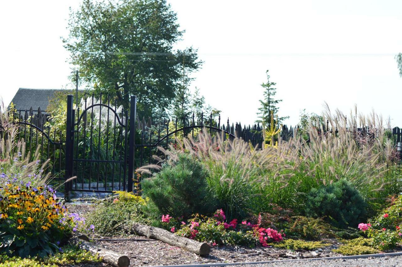 Osrodek Bialy Lew Bed and Breakfast Wojciechow  Buitenkant foto